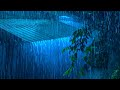 Soothing Night Rain and Gentle Thunder for Deep Sleep | ASMR Rain Sounds to Relax &amp; Beat Insomnia