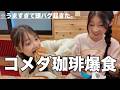 コメダ追い出されました。にゃーにゃちゃんねる