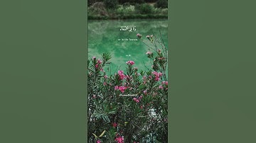 رَبَّنَآ إِنَّكَ تَعْلَمُ مَا نُخْفِى وَمَا نُعْلِنُ ۗ | القارئ أحمد النفيس