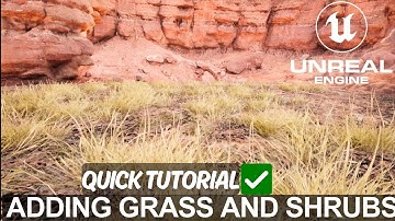 HOW TO PAINT GRASS AND SHRUBS IN UNREAL ENGINE 5.4 | FOLIAGE QUICK TUTORIAL FOR AMATEURS | UE5 TIPS