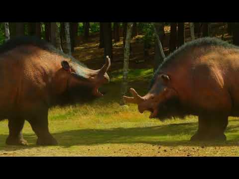 2nd Juvenile Male Megacerops | Life On Our Planet 2023 #dinosaurs #prehistoric #animals #mammals