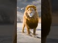 قلب الاسد