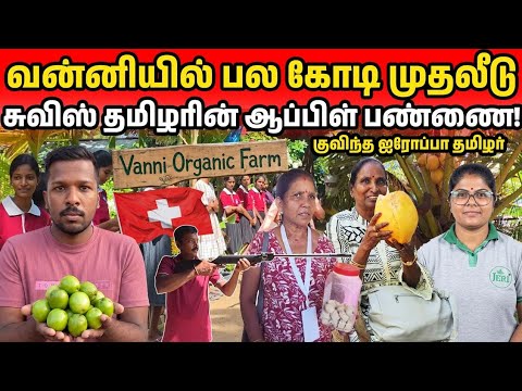 வன்னியில் பல கோடி முதலீடு😱 சுவிஸ் தமிழரின் ஆப்பிள் பண்ணை!🍏 | Jaffna Suthan