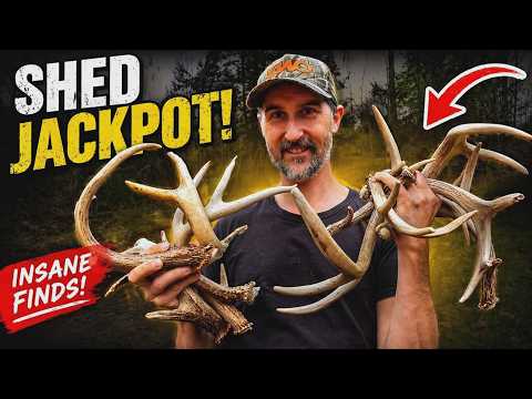 2026 Deer Shed Season Pennsylvania - HOW I FOUND THEM The Good, The Bad & The Ugly GODZILLA UPDATE