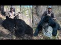 Idaho Black Bear Hunting DOUBLE HEADER! - The Balance #5 - Limitless 65