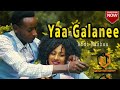 Abdi Nashaa Yaa Galanee New Ethiopian Oromo Music 2021 Official Video Abdi Nashaa Yaa Galanee New Ethiopian Oromo Music 2021 Official Video