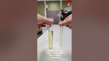 a disappearing test tube is always a fun test of total reflection
