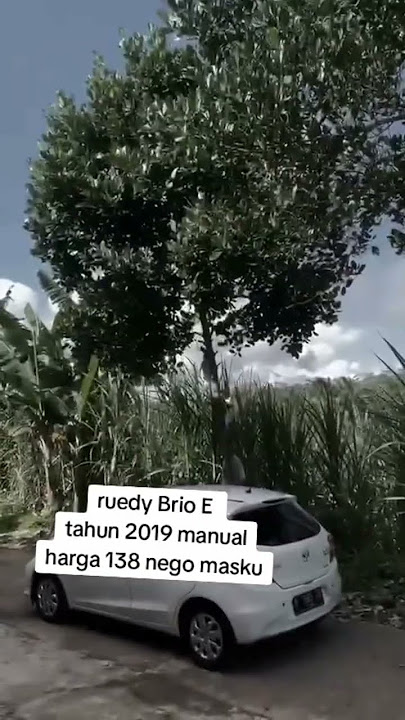 Ruedy 082194947162 #jualbelimotorbekas #jualbelimobilbekas #reel #makelarelite