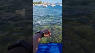 FRENCH RIVIERA SUMMER