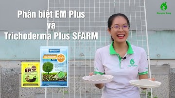 Phân biệt chế phẩm vi sinh EM Plus và Trichoderma Plus SFARM