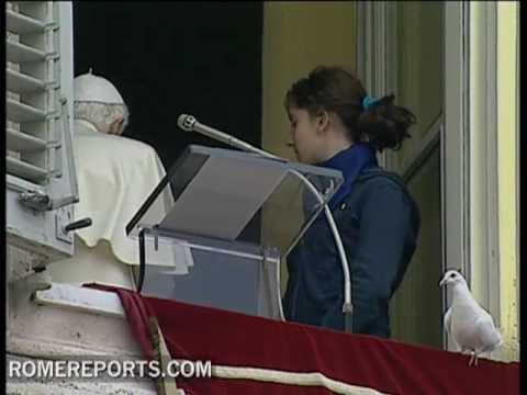Pope Benedict XVIs Angelus prayer, addresses chari...