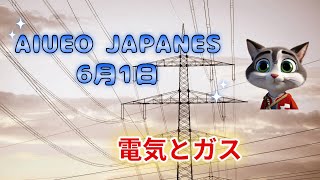 AIUEO JAPANESE NEWS 6月1日 Electricity and gas