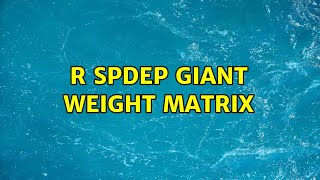 R spdep giant weight matrix