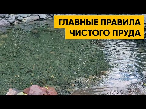 ПРОЗРАЧНАЯ ВОДА В ПРУДУ. Как построить кристально чистый пруд? Пример прозрачного пруда.