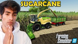 Planting SUGARCANE In Biggest Field in Farming Simulator Part 23