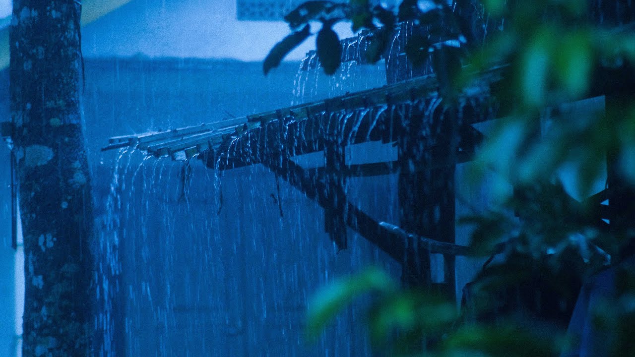 Goodbye insomnia with heavy rain and thunder rumbling on the worn tin roof relaxing