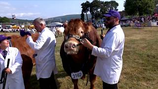 Tîm o 5 Bîff | Beef Team of 5
