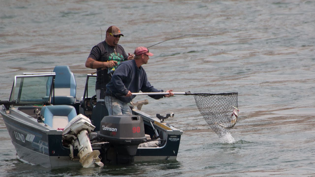 paul bailey toronto Missouri River Forage - NDGNF