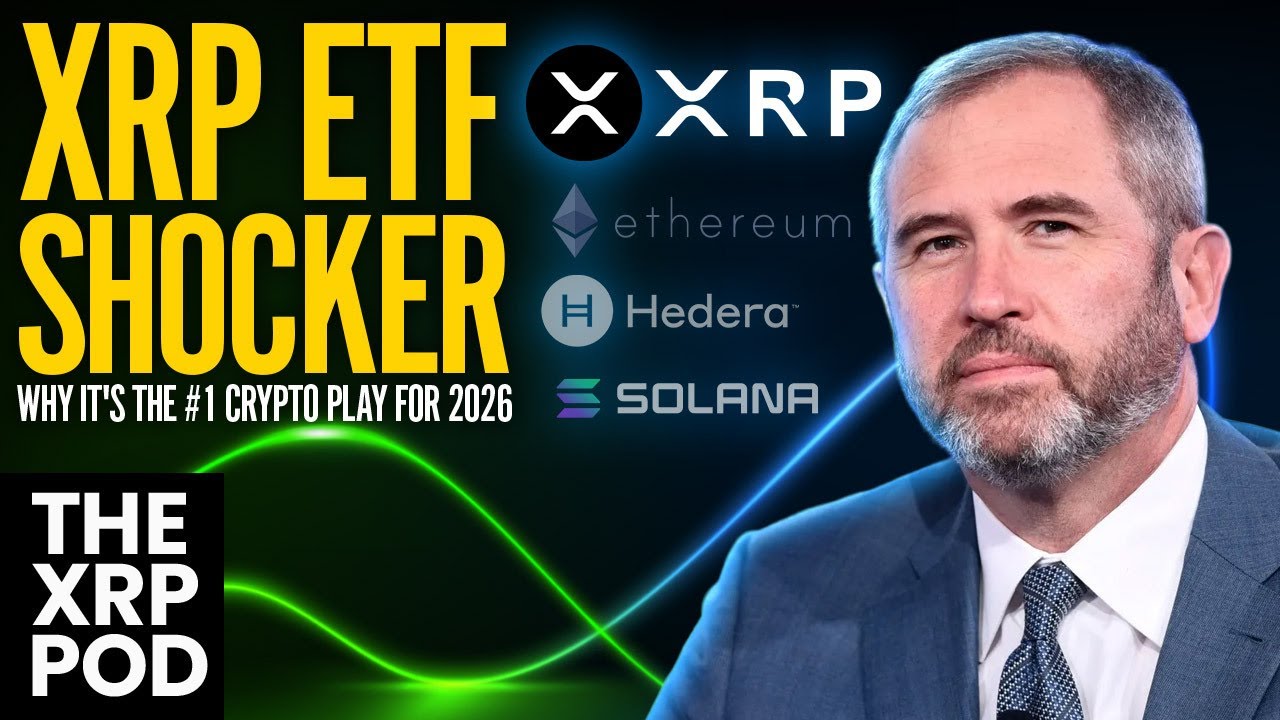 XRP ETF Bombshell: $500M Ripple War Chest | Why Hedera Could Also Win -  INTERVIEW HEDERA