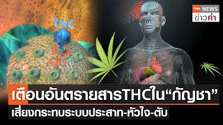 เตือนอันตรายสารTHC ใน “กัญชา” เสี่ยงกระทบระบบประสาท-หัวใจ-ตับ | TNN ข่าวค่ำ | 16 มิ.ย. 65