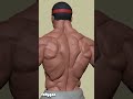 How I Build Anatomy Without Getting Lost in Detail