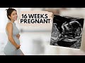 16 Weeks Pregnant Update Vlog | Pregnancy Tips