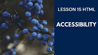 Accessibility | Lesson 15 | CODEBERRY