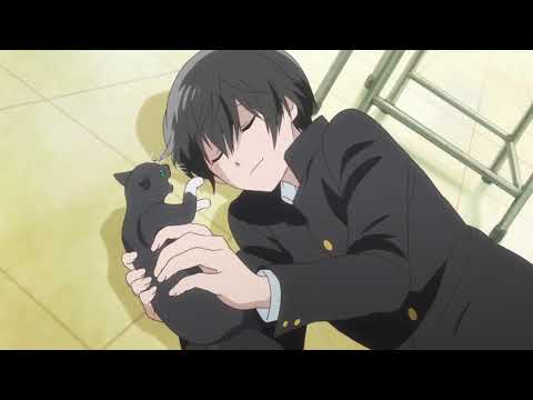 Stars Align Official Trailer