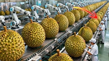 From Fresh Durian to Ice Cream Base 🍦 | Inside the Modern Factory Process