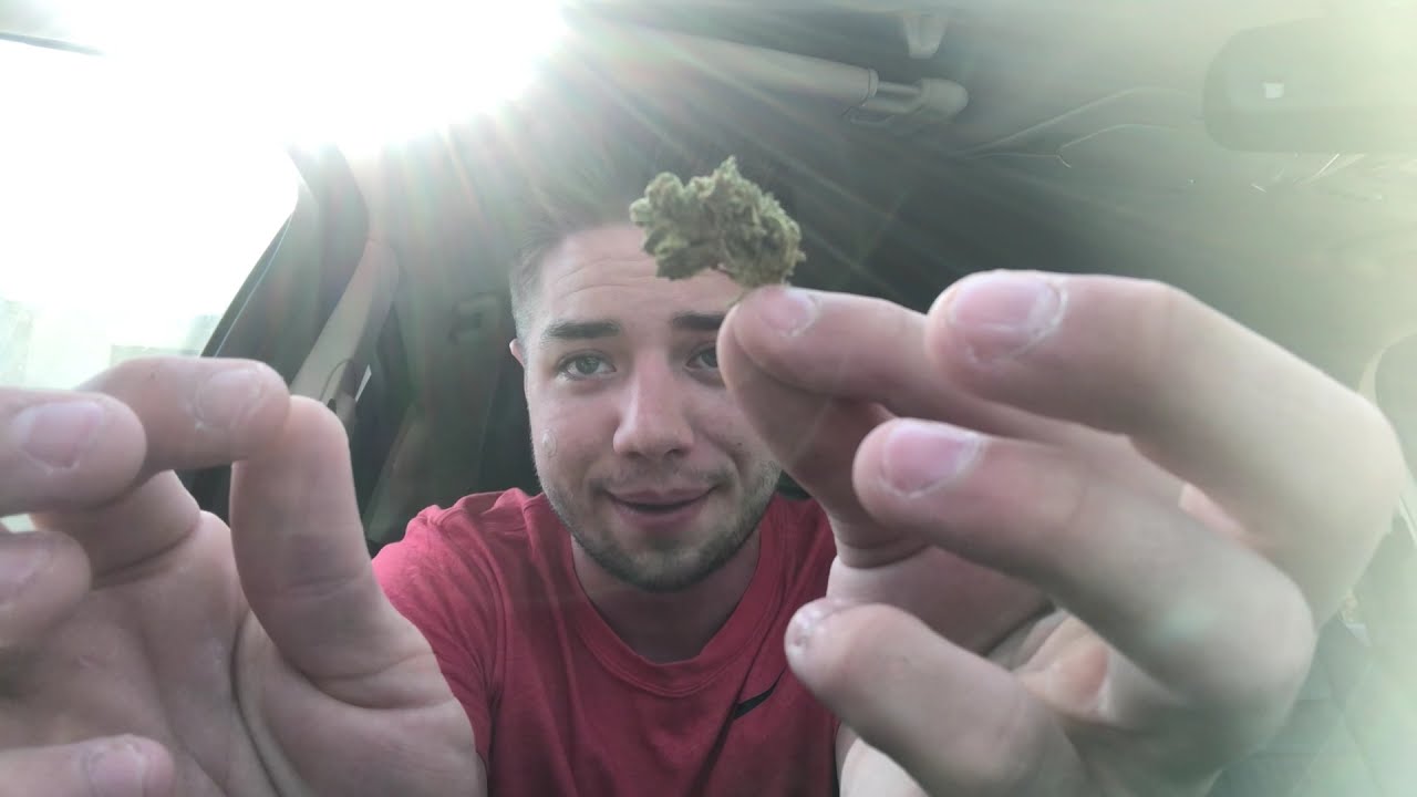 the most dank. the most great. green crack.