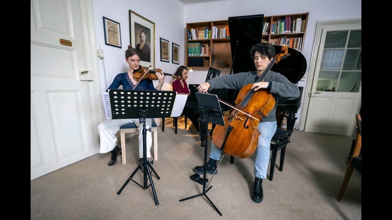 Trio Sōra im Brahmshaus Baden-Baden
