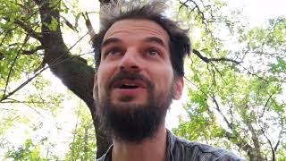 Come dalla menzogna si genera la verità - Niccolò Angeli