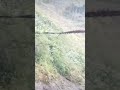 #arunachalpradesh#trend#trending#trendingshorts#trendingvideo#mountains#mountain#assam#