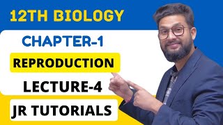 12th Biology | Chapter 1 | Reproduction in Lowers & Higher Plants | Lecture 4 | JR Tutorials |