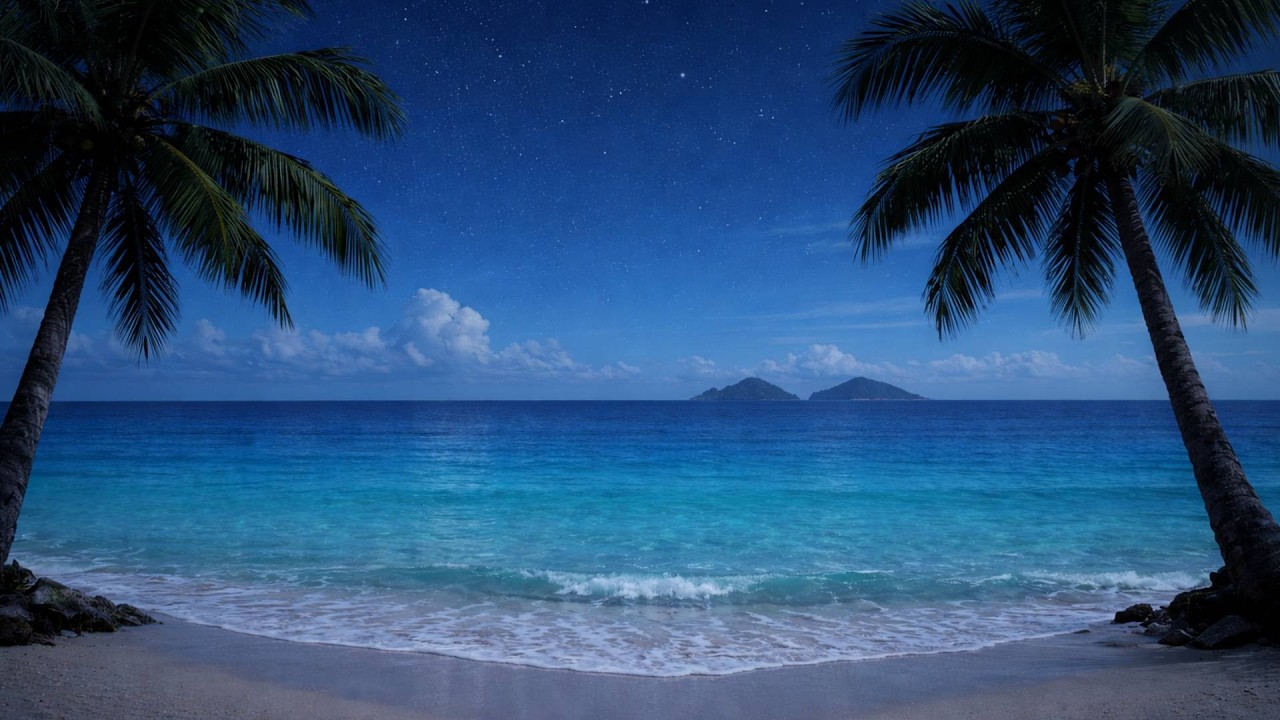 1 Hour Night Beach Ambience | Deep Sleep Therapy