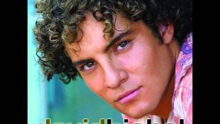 David Bisbal - Un amor que viene y vá.wmv chords