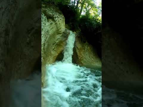 چهار دانگه جنگل بکر ساری طبیعت شمال