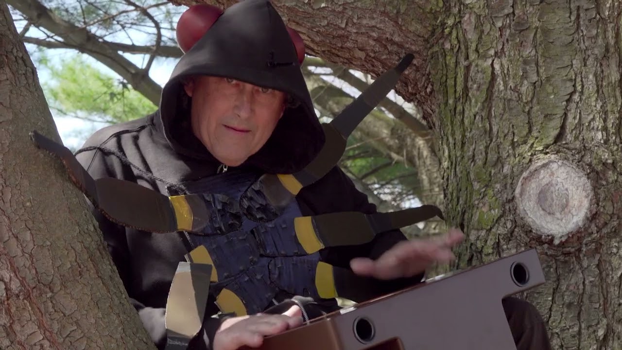 The Life Cycle of a 17-Year Cicada