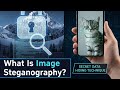 Day 21: Unlocking Image Steganography – The Secret Data Hiding Technique 🔍