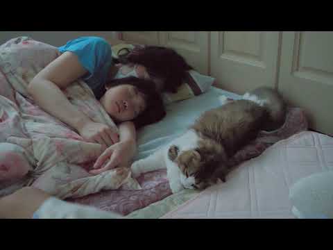 毎日朝まで一緒の布団で眠る猫