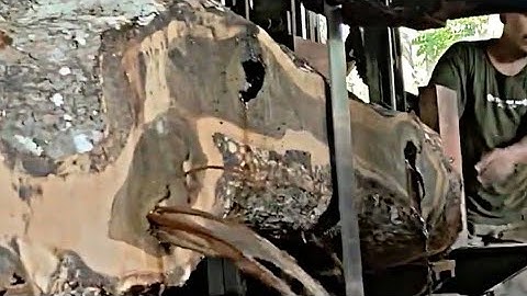 Terrifying!! the tragedy of sawing teak wood in a sawmill
