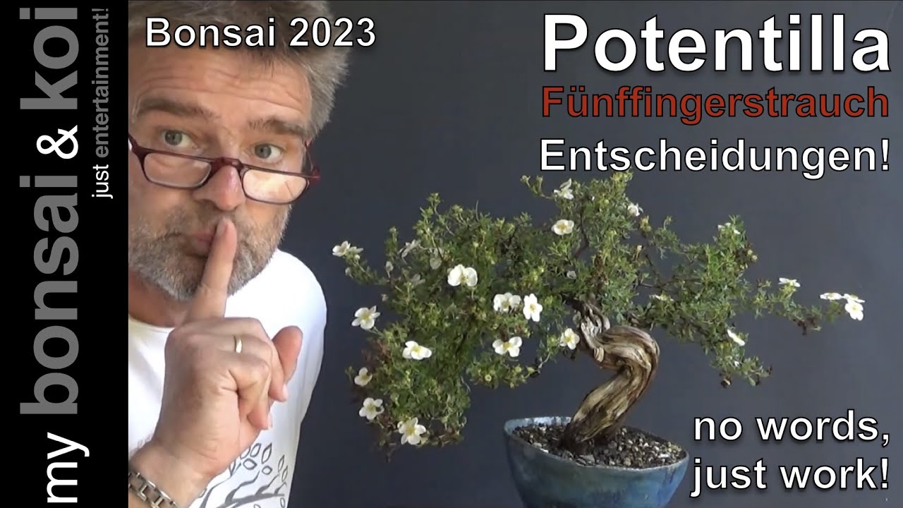 kniestrümpfe bambus Bambus Wellness-Kniestrümpfe | 6 Paar main image 1