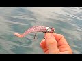 投げて巻くだけで釣れるこの一撃ルアーはすごい!