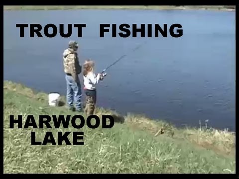 Harwood Lake Trout Fishing Youtube