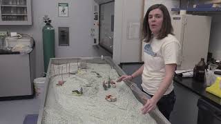 Stream Table Tutorial