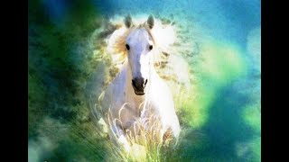 C6X7c BigMersennePrime.java with BigInteger Objects!