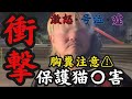 子猫虐待の容疑者に突撃してみたら、猫を預けたご家族がブチギレ💢公園で乱闘騒ぎに！