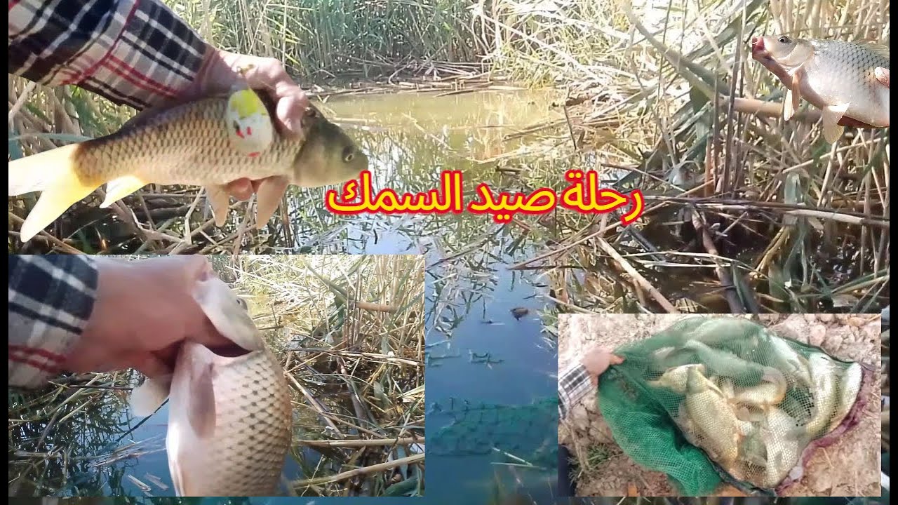 رحلة صيد السمك
