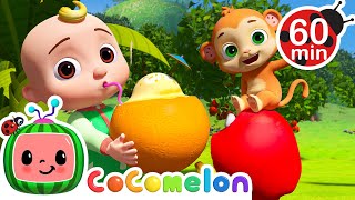 Yes Yes Fruits with JJ and his Animal Friends! | Fun with JJ | CoComelon Nursery Rhymes & Kids Songs