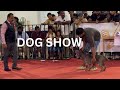 Thrissur 2025 all breed dog show 🥰